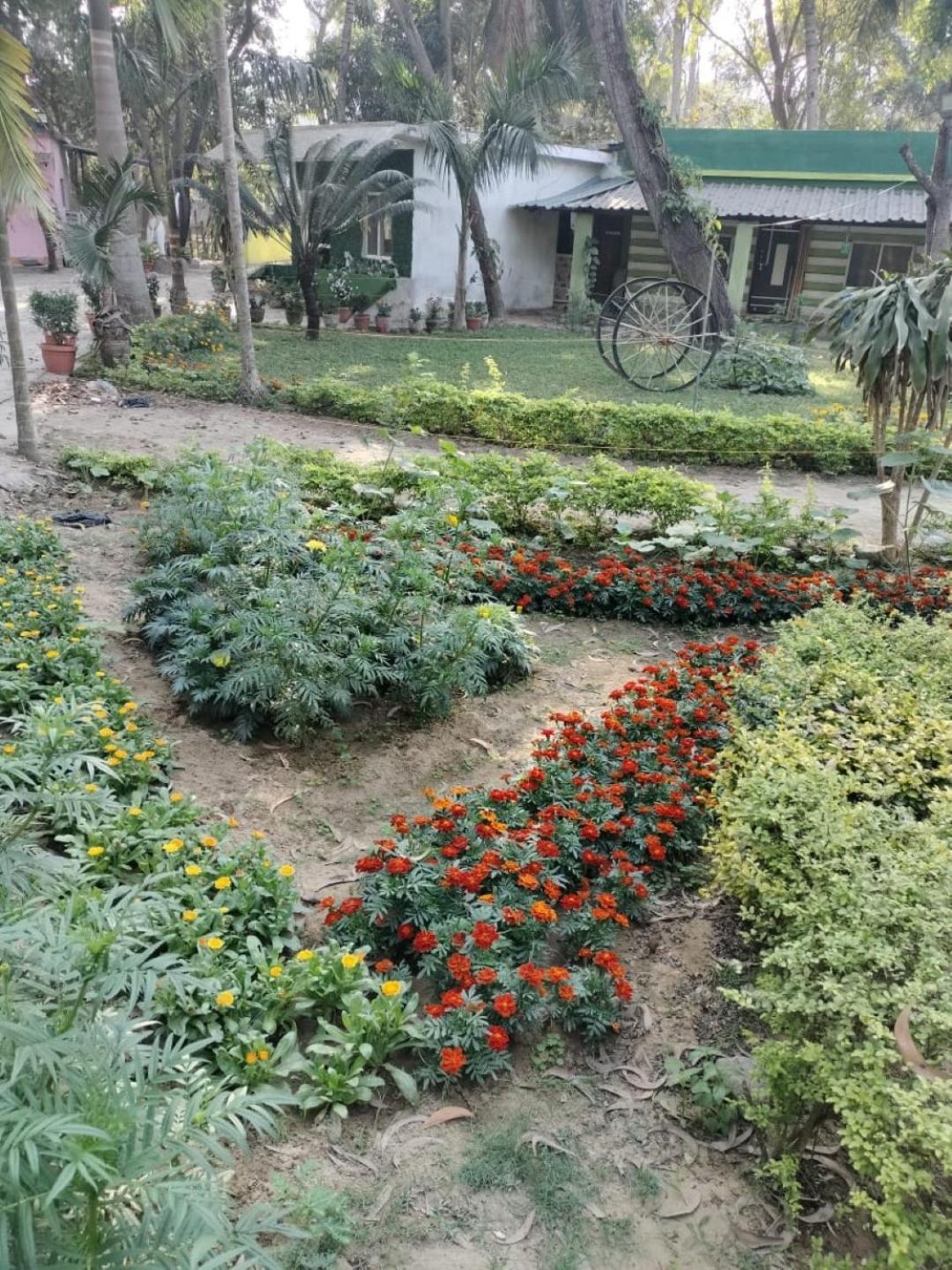 Lucky Beach Resorts , Balasore Csandipur Kültér fotó